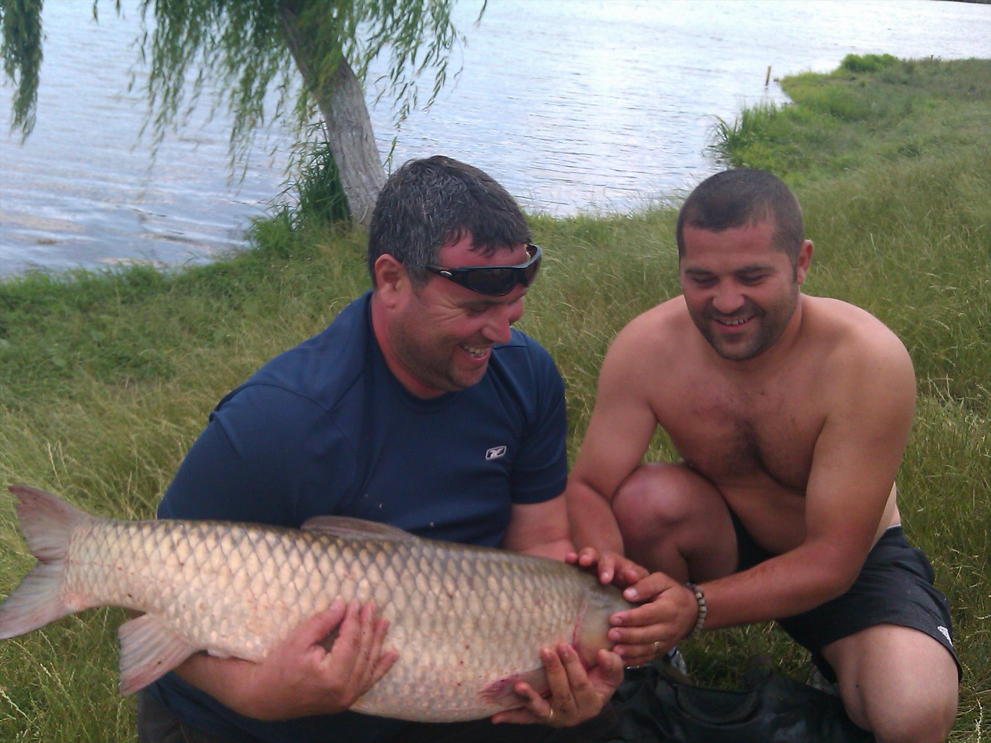 peste - picture-005.jpg